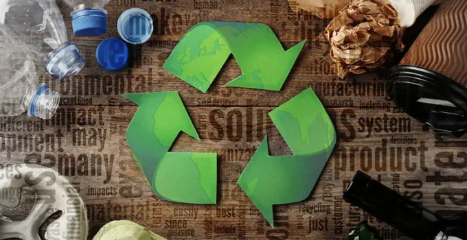 Recyclable, Compostable Or Biodegradable: Which Sustainable Packaging Is Best For Your Business?